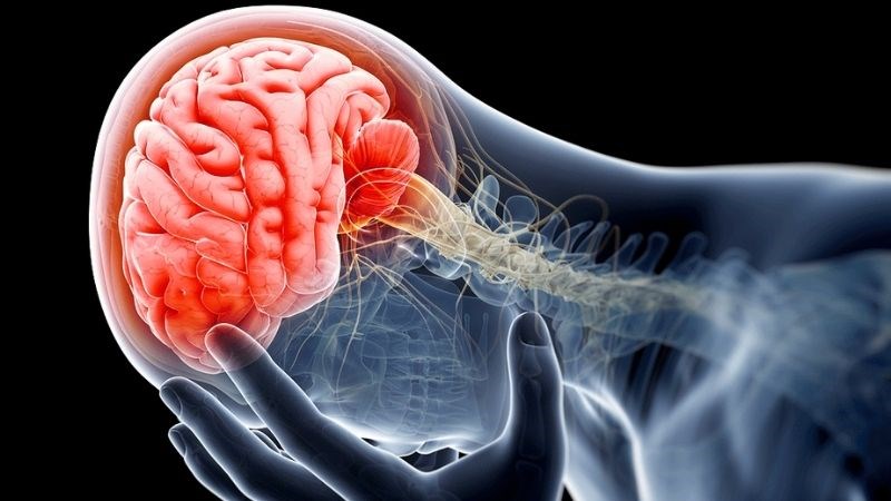 Chấn thương sọ não có thể gây nên tình trạng suy tuyến yên
