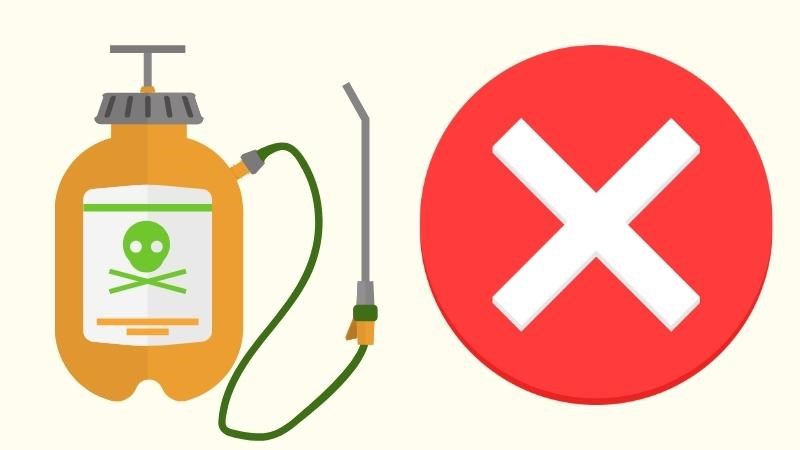 Tránh tiếp xúc với các hóa chất độc hại có thể giảm nguy cơ bị thiếu máu bất sản