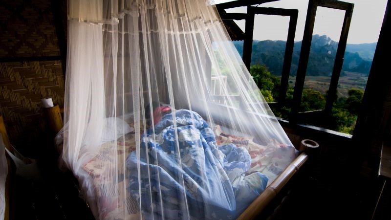 Nên ngủ trong màng ngủ để tránh bị nhiễm bệnh Chagas