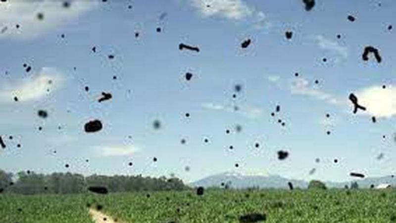 Xuất hiện đốm đen trong tầm nhìn là một trong những triệu chứng của bong võng mạc