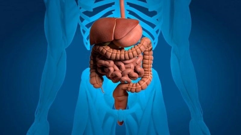 Suy đa tạng là biến chứng của dãn tĩnh mạch thực quản