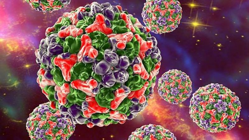 Bệnh herpangina thường do virus Coxsackie gây ra