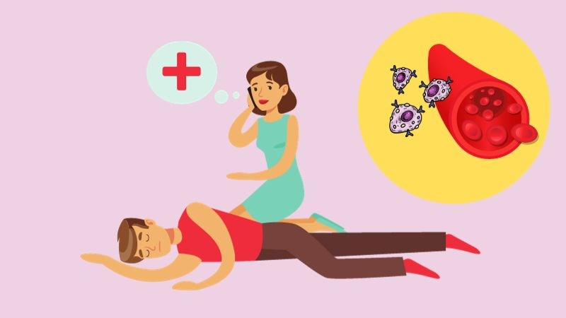 Histamin do tế bào mast giải phóng gây hạ huyết áp đột ngột và ngất xỉu