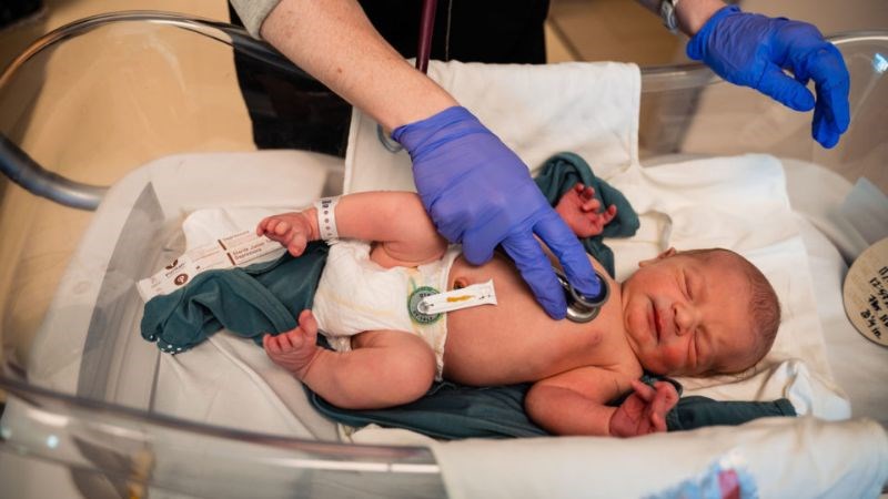 Bác sĩ thăm khám bụng và các cơ quan để định hướng bệnh viêm ruột hoại tử Bác sĩ thăm khám bụng và các cơ quan để định hướng bệnh viêm ruột hoại tử