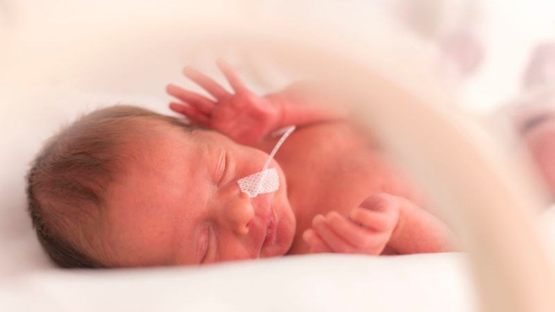 Hệ miễn dịch và tiêu hóa của trẻ đẻ non chưa hoàn thiện nên dễ mắc bệnh Hệ miễn dịch và tiêu hóa của trẻ đẻ non chưa hoàn thiện nên dễ mắc bệnh