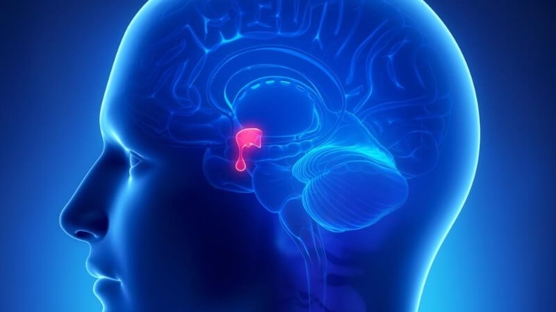U tuyến yên là sự phát triển bất thường của khối u tại tuyến yên