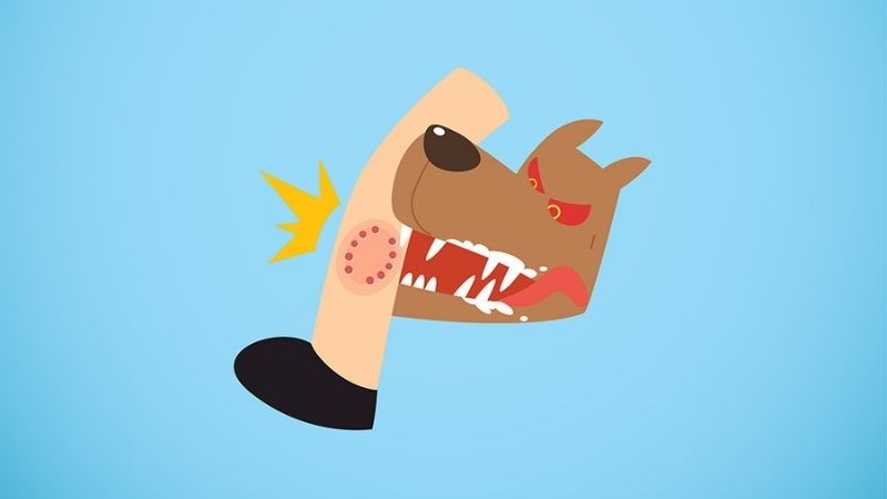 Bệnh dại xảy ra do động vật chứa virus lây truyền cho người bệnh