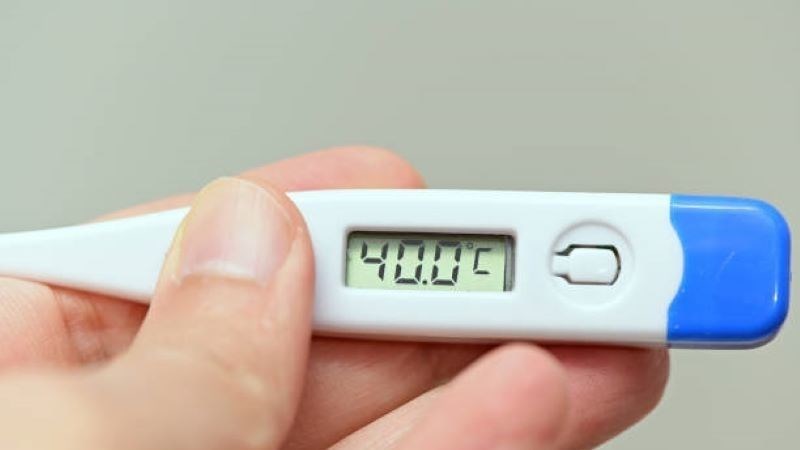 Giai đoạn tiền triệu chứng có thể xuất hiện sốt cao