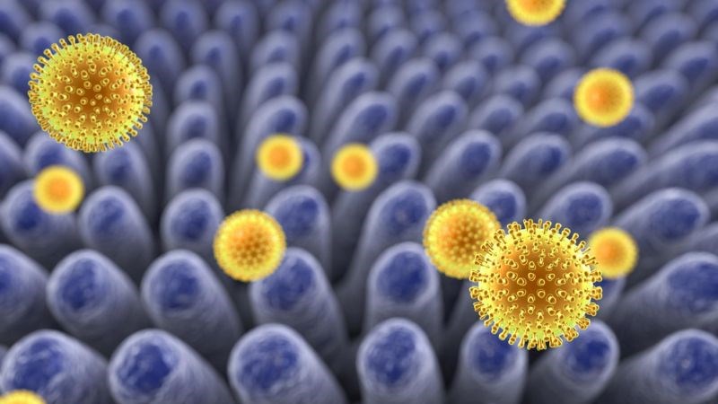 Rotavirus là căn nguyên phổ biến gây viêm dạ dày ruột ở trẻ em