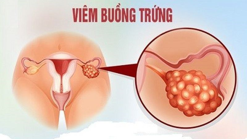 7. Tầm Nhìn Tương Lai và Nghiên Cứu Liên Quan