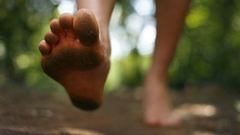Người hay đi chân trần trên đất dễ bị nhiễm giun lươn