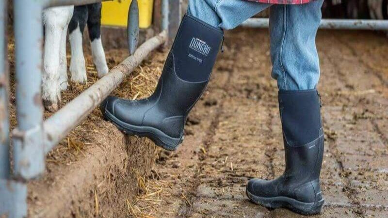 Mang giày, găng tay khi tiếp xúc trực tiếp với đất