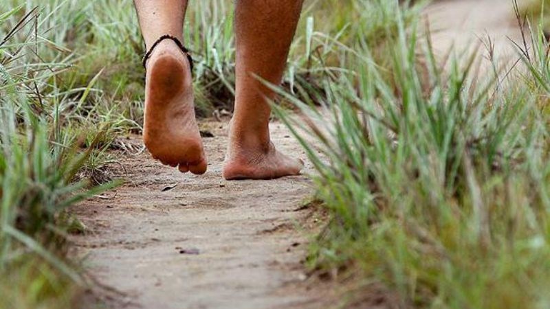 Thói quen đi chân trần trên đất có thể dễ bị nhiễm giun móc Thói quen đi chân trần trên đất có thể dễ bị nhiễm giun móc