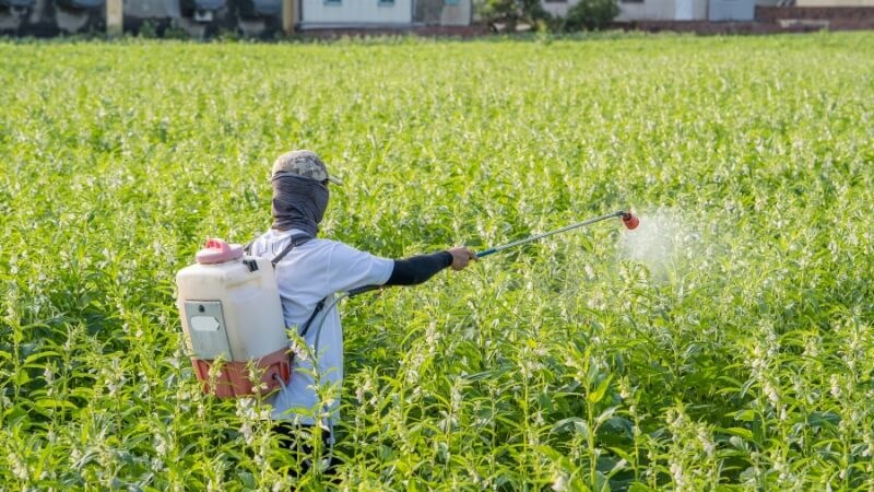 Một số loại chất độc hóa học, đặc biệt là thuốc trừ sâu có khả năng gây suy tủy xương sau một thời gian dài tiếp xúc Một số loại chất độc hóa học, đặc biệt là thuốc trừ sâu có khả năng gây suy tủy xương sau một thời gian dài tiếp xúc