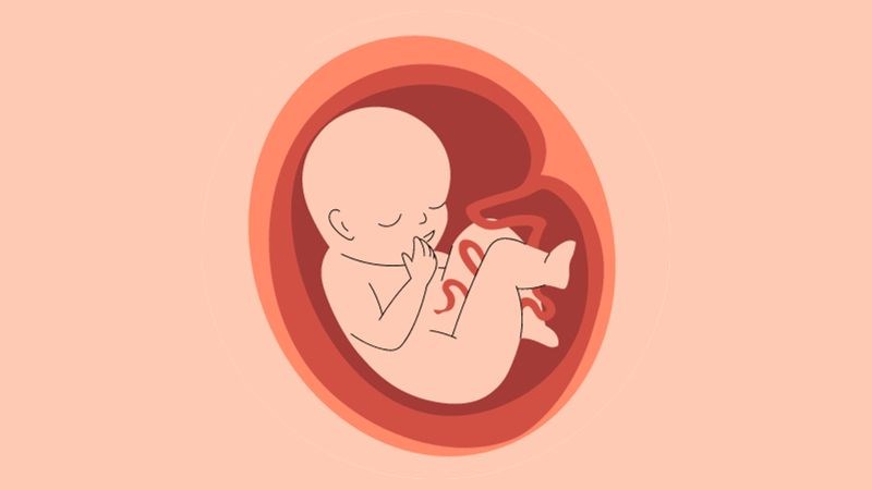 Đa ối là hiện tượng nước ối quá nhiều so với mức bình thường
