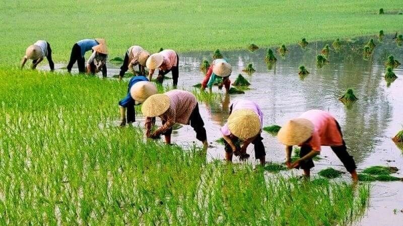 Người lao động trong môi trường ô nhiễm có nguy cơ cao mắc bệnh