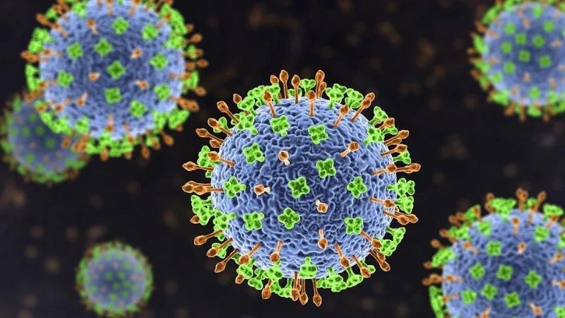Virus Nipah là một trong những nguyên nhân gây tình trạng viêm não