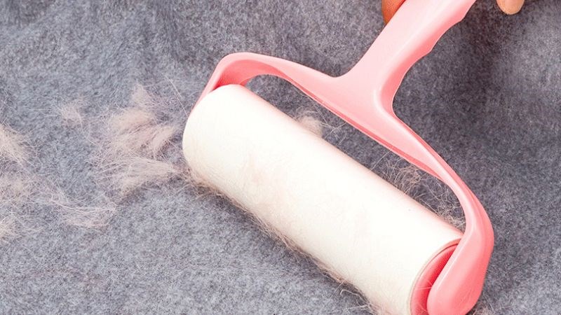 Dọn dẹp nhà cửa thường xuyên để tránh tích tụ lông chó mèo trong nhà