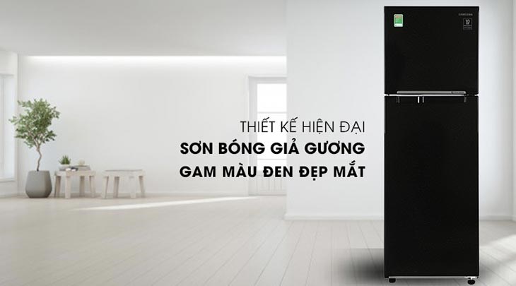 Tủ lạnh Samsung Inverter 256 lít RT25M4032BU/SV có gam màu đen hiện đại và sang trọng