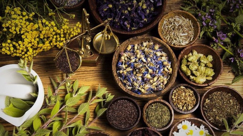 Các loại thảo mộc có thể được sấy khô bằng lò vi sóng, giúp tiết kiệm thời gian 