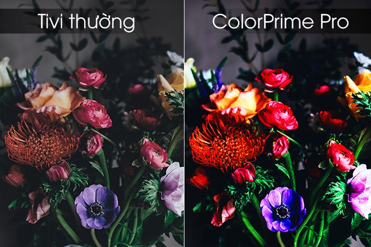 công nghệ ColorPrime Pro tivi LG