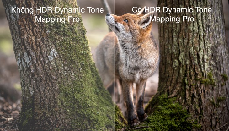 công nghệ Dynamic Tone Mapping Pro