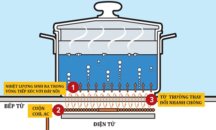 Bếp từ dùng nồi gì? Tại sao phải mua bộ nồi chuẩn cho bếp từ?