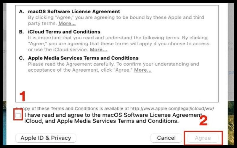 Tick chọn vào mục I have read and agree to the macOS…