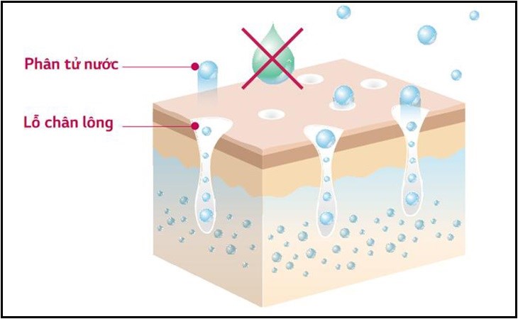 Chức năng chăm sóc da bằng ion tăng cường Plasmaster trên máy lạnh hoạt động dựa vào một linh kiện đặc biệt được lắp kèm