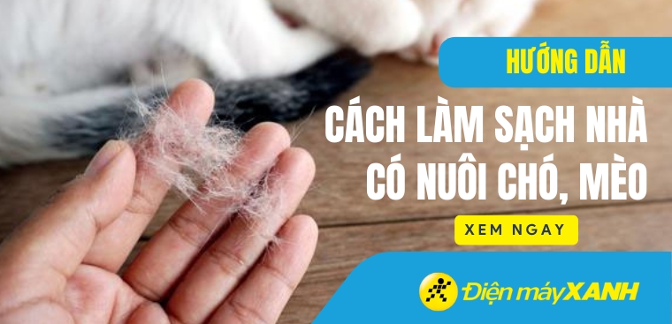 Hướng dẫn cách làm sạch nhà có nuôi chó, mèo