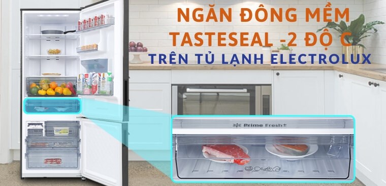 Tại sao nên mua tủ lạnh Electrolux có ngăn đông mềm TasteSeal -2 độ C?