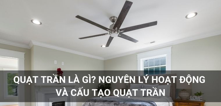 Quạt trần là gì? Nguyên lý hoạt động và cấu tạo của quạt trần