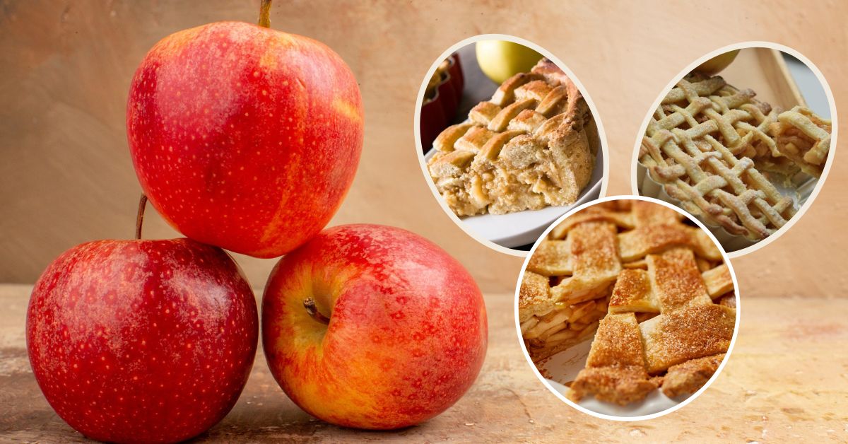 Cách làm bánh táo cho bé ăn dặm giúp tăng cường hệ tiêu hóa cho con