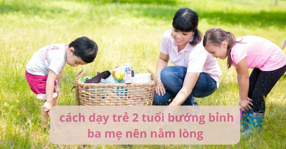 Cách dạy trẻ 2 tuổi bướng bỉnh: 9 cách hiệu quả, ba mẹ nên áp dụng ngay!
