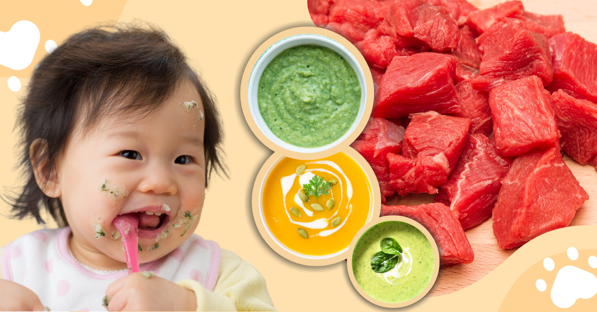 Hướng dẫn 5 cách nấu bột ăn dặm với thịt bò tại nhà ngon nhất