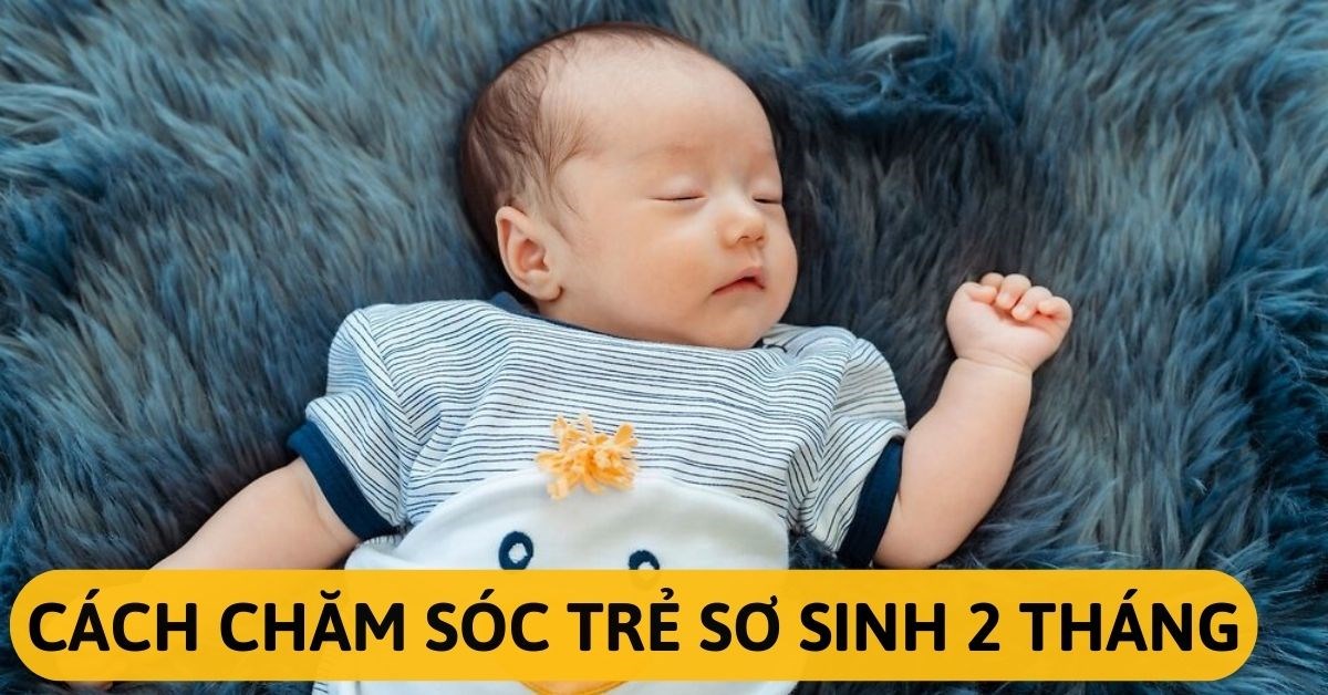 Cách chăm sóc trẻ sơ sinh 2 tháng cho ba mẹ cần biết