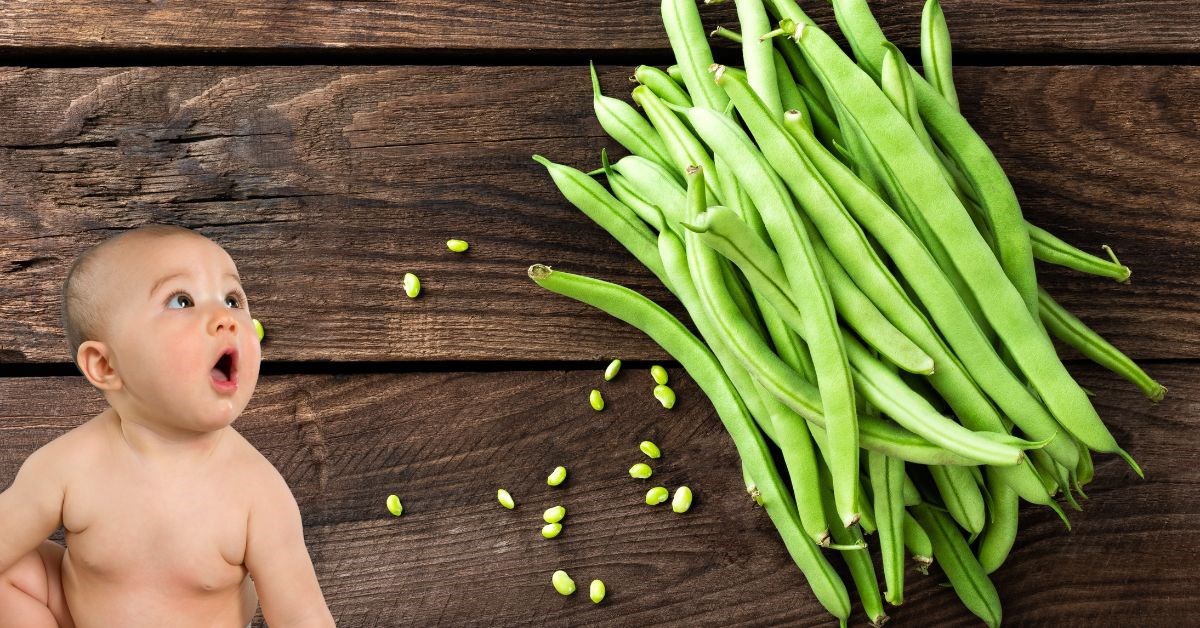 Công thức nấu cháo đậu cô ve cho bé cực kỳ thơm ngon