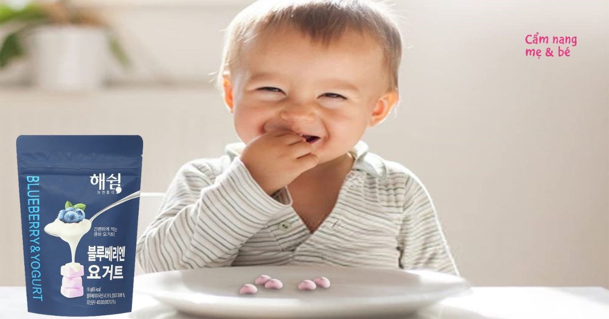 Sữa chua khô Haeswim có tốt không? Có những loại nào trên thị trường?