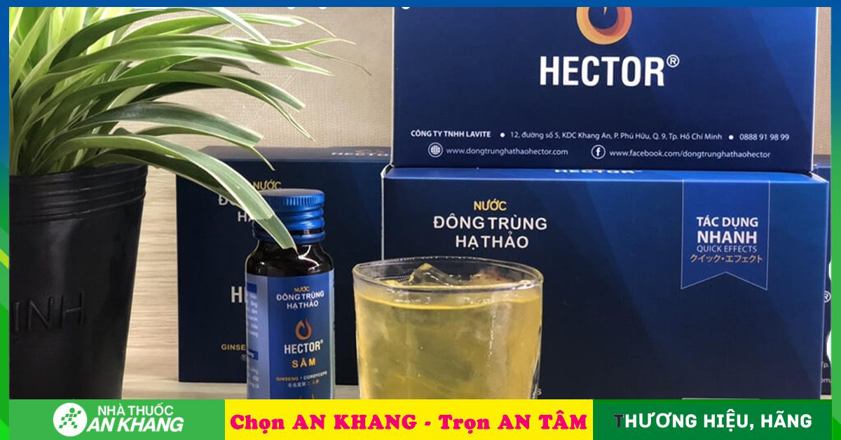 Hector Collagen là sản phẩm của công ty nào?
