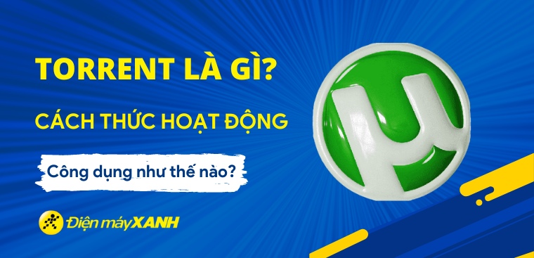 Torrent là gì? Cách thức hoạt động và công dụng như thế nào?