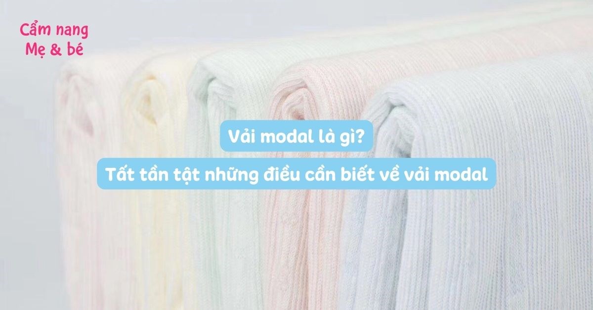 Vải modal là gì? Tất tần tật những điều cần biết về vải modal