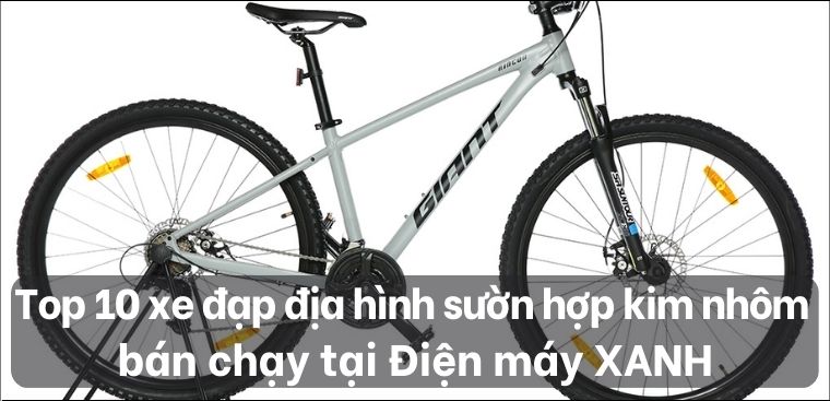Top 10 xe đạp địa hình sườn hợp kim nhôm bán chạy tại Điện máy XANH