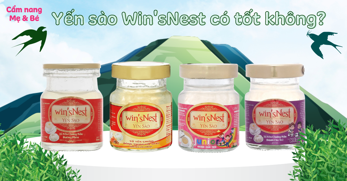 Nước yến sào Win'sNest có tốt không? Có những loại nào hiện nay?