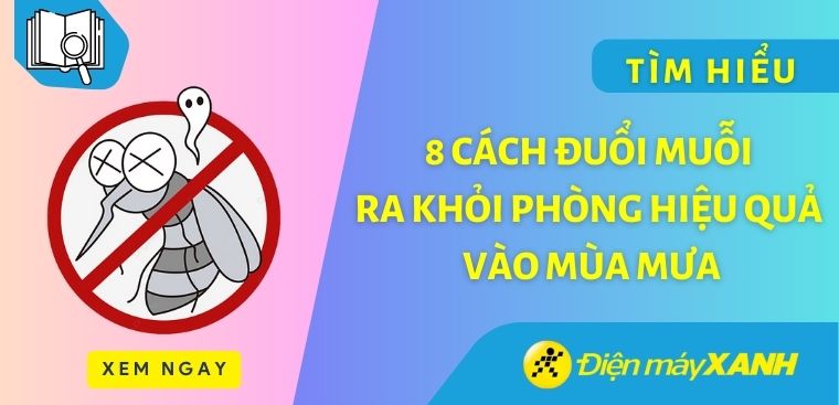 8 cách đuổi muỗi ra khỏi phòng hiệu quả vào mùa mưa
