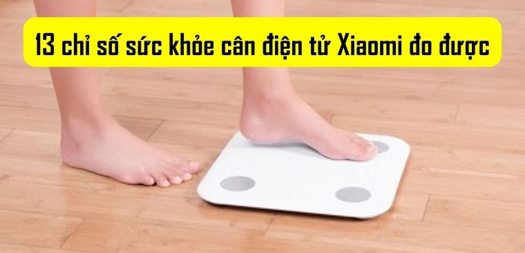 13 chỉ số sức khỏe cân điện tử Xiaomi có thể đo được: Lượng mỡ, cơ bắp, BMI
