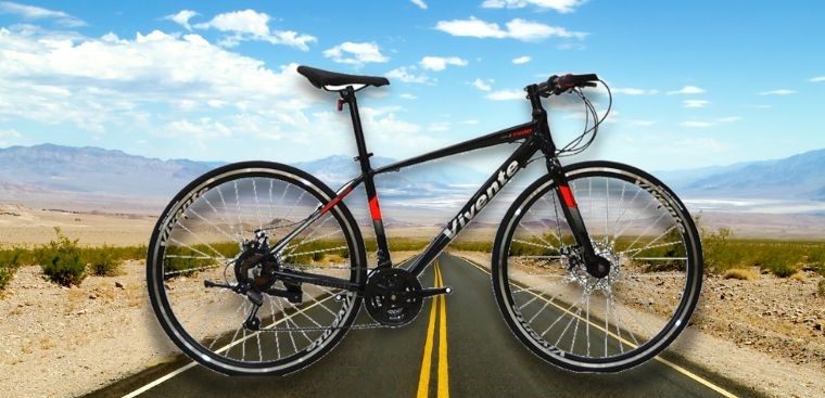 Xe đạp Vivente của nước nào? Có tốt không?