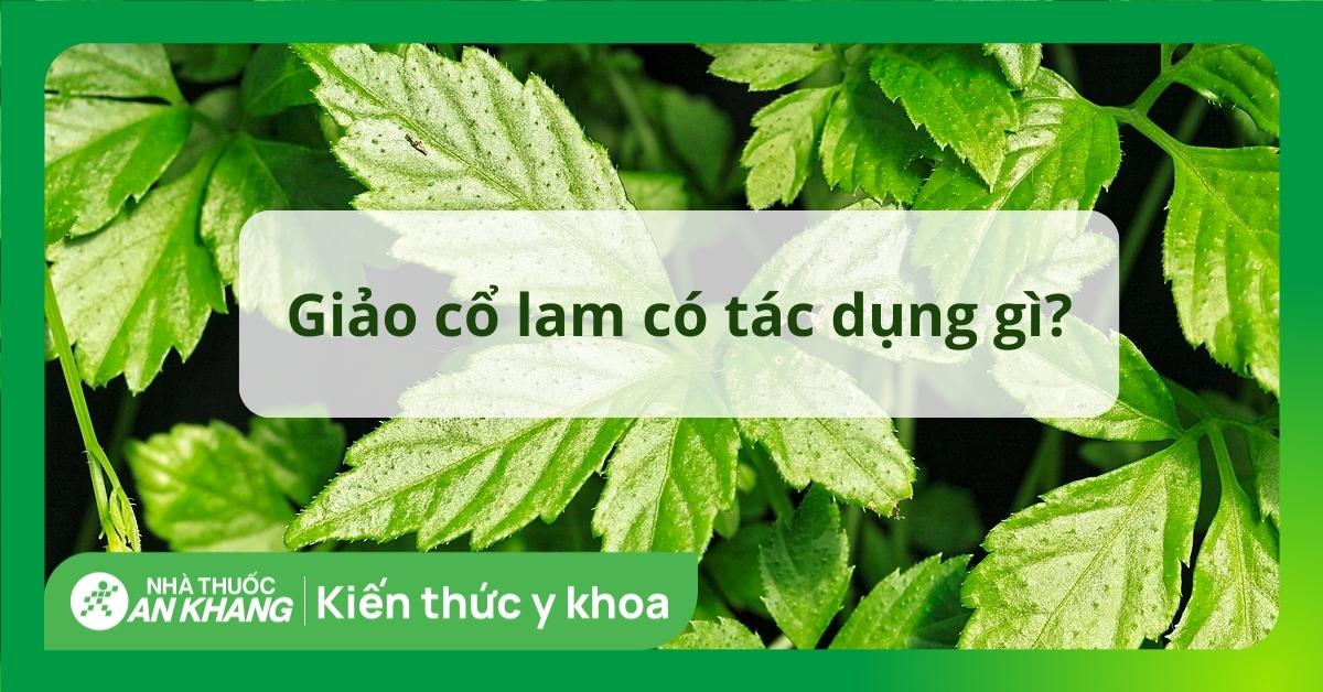 What are the characteristics and uses of Giảo cổ lam with 3 lá?