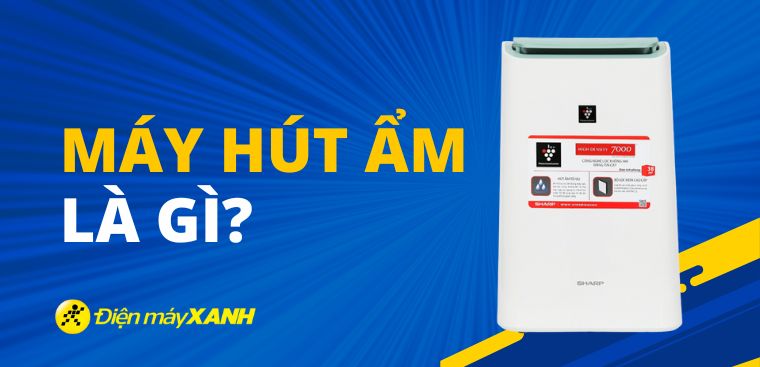 Máy hút ẩm là gì? Những điều bạn cần biết về máy hút ẩm
