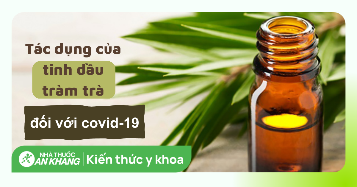 Tinh dầu tràm có tác dụng gì đối với covid-19?