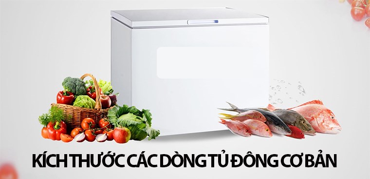 Kích thước các dòng tủ đông cơ bản nên biết trước khi mua